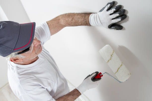 Best Water Damage & Mold Remediation  in Elk Point, SD