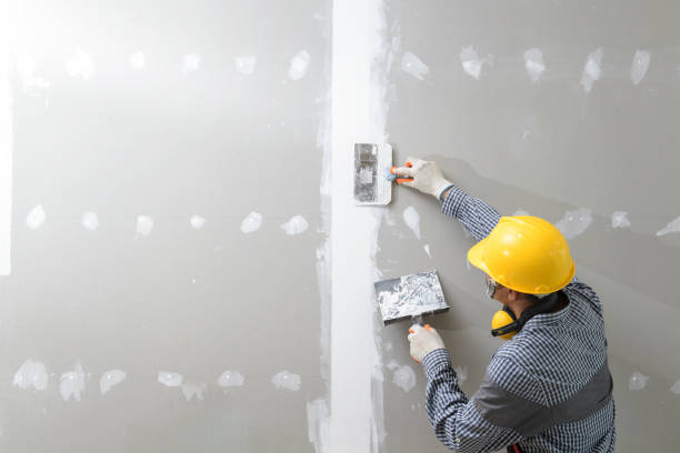 Best Residential Mold Inspection & Testing  in Elk Point, SD