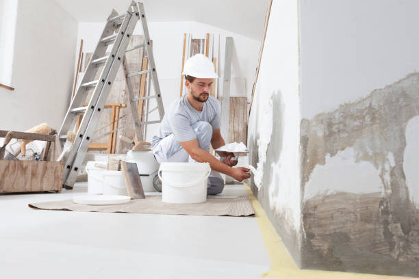 Reliable Elk Point, SD Mold Removal Solutions
