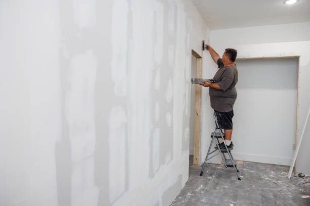 Best Basement Mold Removal  in Elk Point, SD