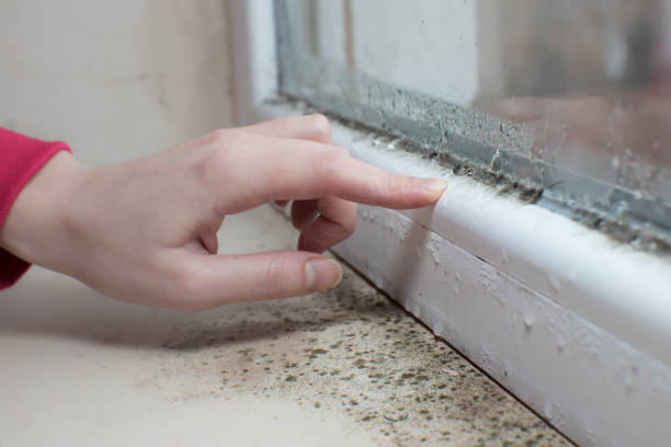 Forensic Mold Investigation in Elk Point, SD