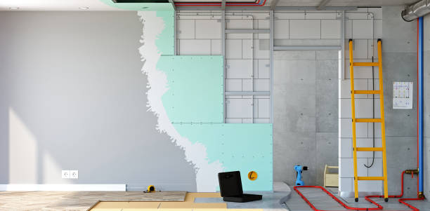 Best Black Mold Removal  in Elk Point, SD