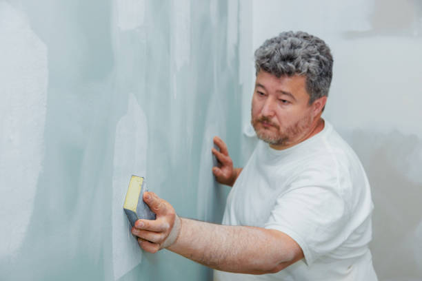 Best Post-Construction Mold Inspection  in Elk Point, SD