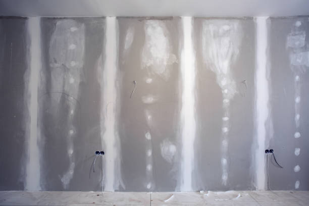 Best Asbestos and Lead Testing During Mold Inspection  in Elk Point, SD